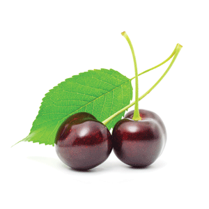 Black Cherry Protein